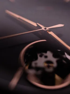 HD8 cœur ouvert Aurore Noire